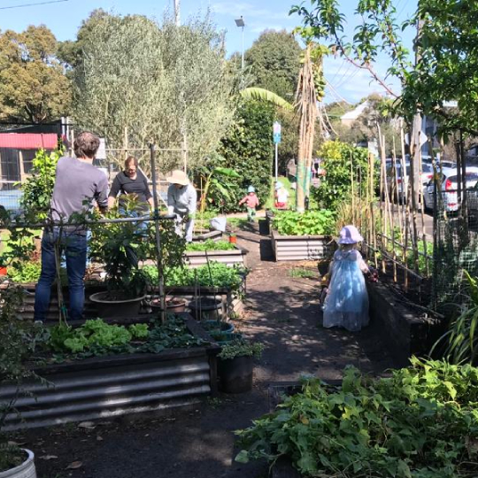 Punch Park Community Garden with children